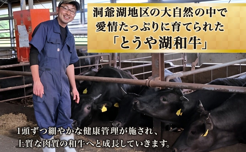 北海道 とうや湖和牛 ロース ステーキ 200g×2 すき焼き用 400g 黒毛和種 黒毛和牛 霜降り 和牛 国産牛 A4ランク 幻の和牛 ブランド牛 牛肉 甘い すき焼き とうや湖農業協同組合 送料無料