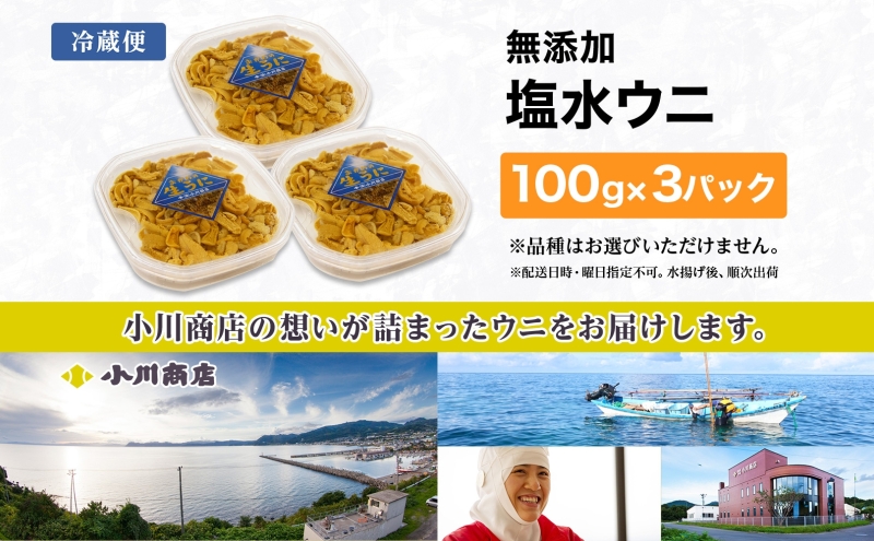 北海道 無添加塩水 ウニ 100g 3パック 5月中旬～9月初旬ごろまで順次出荷 バフン ムラサキ うに 雲丹 海鮮  小川商店