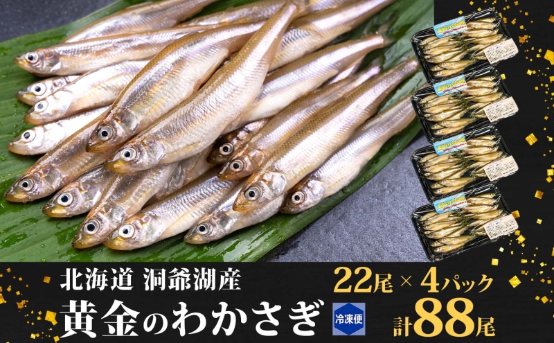 洞爺湖産黄金のわかさぎ 22尾×4P