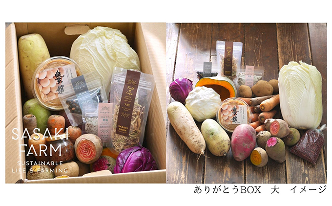 旬の野菜詰め合わせ ～ありがとうBOX2024・大～ 12月1日～1月31日頃お届け 北海道 野菜 やさい 詰め合わせ セット 北海道産 常備菜 加工品 自然栽培 佐々木ファーム 産地直送 洞爺湖町