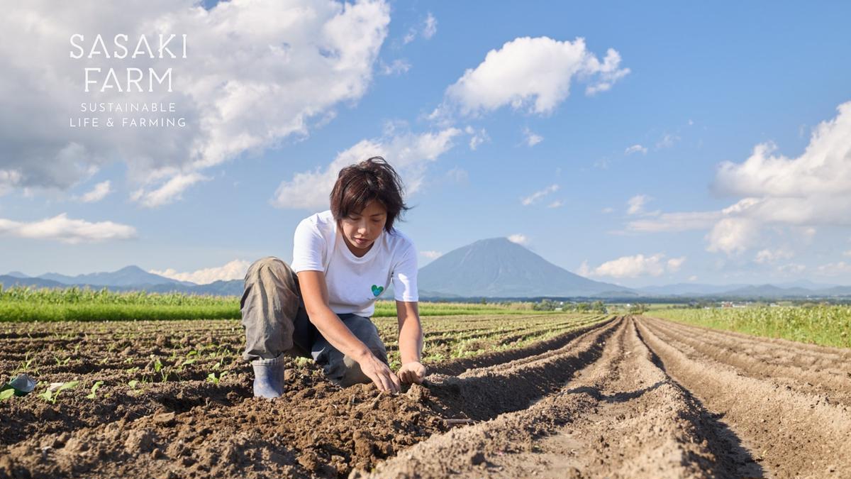 [5回お届け 5月・7月・9月・11月・3月 定期便]〈自然栽培〉佐々木ファーム 旬の野菜詰め合わせ ～循環セット～ 厳選野菜7-10品目程度