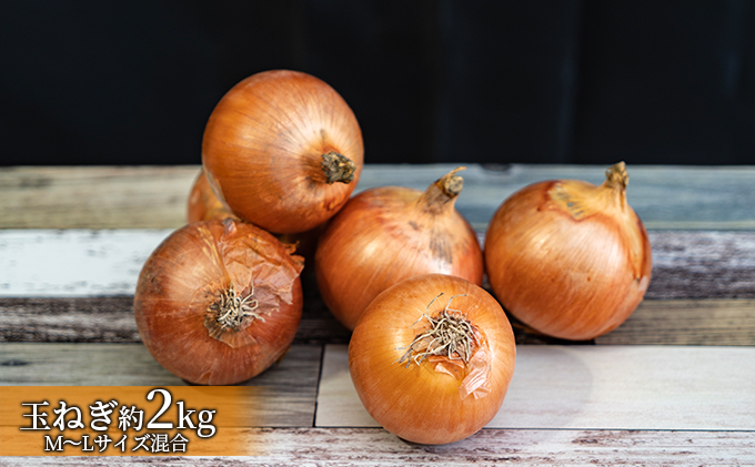 道の駅とうや湖 冬の味覚4種セット(ゆめぴりか・虎豆・大和いも・玉ねぎ) 計約9.6kg