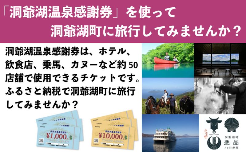 洞爺湖温泉感謝券 10000円 分 金券 クーポン 洞爺湖 湖 温泉 リゾート 有珠山 火山 自然 花火 イルミネーション 旅行 観光 宿泊 施設 北海道