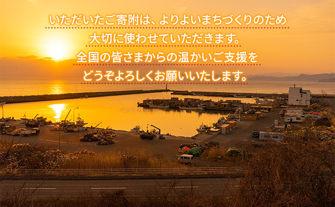 洞爺湖町 寄附のみの応援受付 3,000円コース（返礼品なし 寄附のみ 3000円）