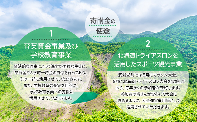 洞爺湖町 寄附のみの応援受付 3,000円コース（返礼品なし 寄附のみ 3000円）