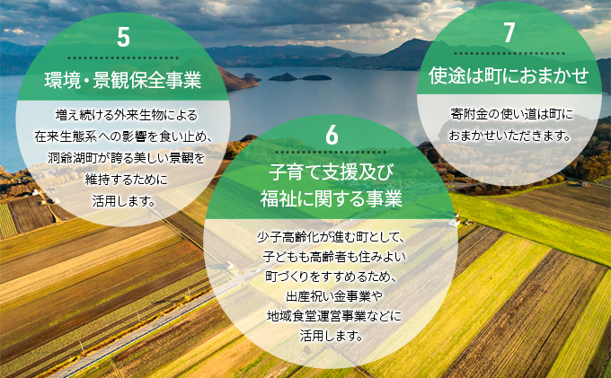 洞爺湖町 寄附のみの応援受付 3,000円コース（返礼品なし 寄附のみ 3000円）