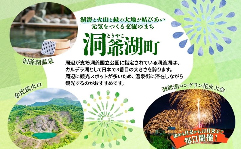 HISふるさと納税 クーポン(北海道 洞爺湖町)【150,000円分】旅行 ツアー 宿泊 ホテル 観光 飛行機 