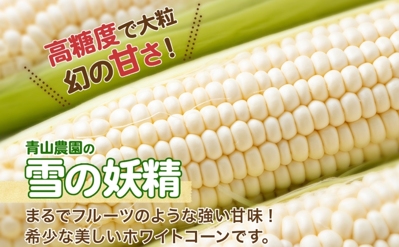 北海道 月浦 めぐみ ゴールド 雪の妖精 5kg 8月下旬～9月下旬頃にお届け とうもろこしトウモロコシ とうきび コーン 恵味  スイート コーン 旬 野菜 朝採り 産地直送 青山農園 送料無料 洞爺湖