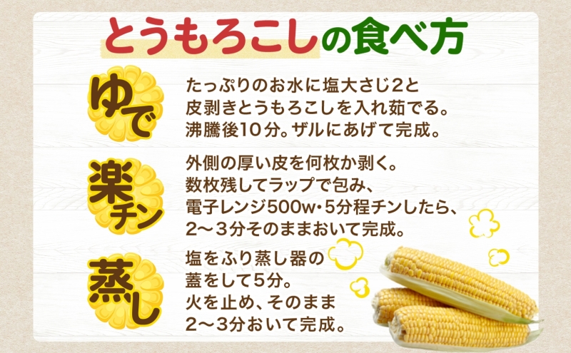 北海道 洞爺湖町 月浦 雪の妖精 5kg 8月下旬～9月下旬頃にお届け とうもろこしトウモロコシ とうきび スイート コーン 旬 野菜 甘い 大粒 人気 朝採り 産地直送 青山農園 送料無料 洞爺湖