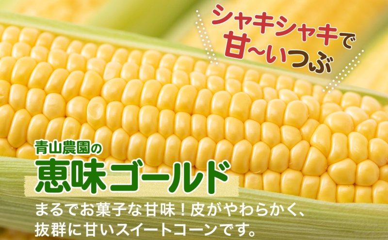 北海道 月浦 めぐみ ゴールド 5kg 8月下旬～9月下旬頃にお届け とうもろこしトウモロコシ とうきび 恵味 スイート コーン 旬 野菜 甘い 大粒 人気 朝採り 産地直送 青山農園 送料無料 洞爺湖