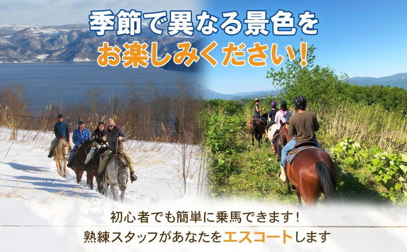 北海道 レイクトレッキング＆Winterレイクトレッキング 約40分 乗馬 体験 ホース トレッキング 絶景 自然 貴重 体験 経験 景色 ふれあい 血統馬 初心者 本格的 のんびり お子様 大人 レイクトーヤランチ 洞爺湖