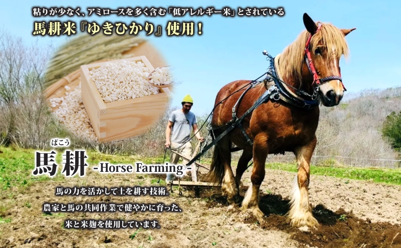 オリジナル クラフトビール Horse Farming Saison 330ml×4本 北海道 ビール 酒 アルコール 馬耕 ゆきひかり 米 米麹 オーガニック セゾン スタイル 家飲み 宅飲み 晩酌 お取り寄せ 贈答 人気 限定 冷蔵 BACKWOOD 洞爺湖町