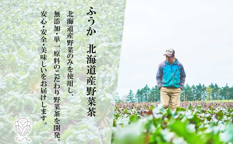 野菜茶 2種セット とうきび茶 ごぼう茶 各6包 計12包 ティーバッグ 個包装 小分け 無添加 ノンカフェイン お茶 とうもろこし 牛蒡 コーン茶 ギフト 紅茶 水だし 健康茶 お取り寄せ プレゼント 国産 送料無料 北海道 洞爺湖町