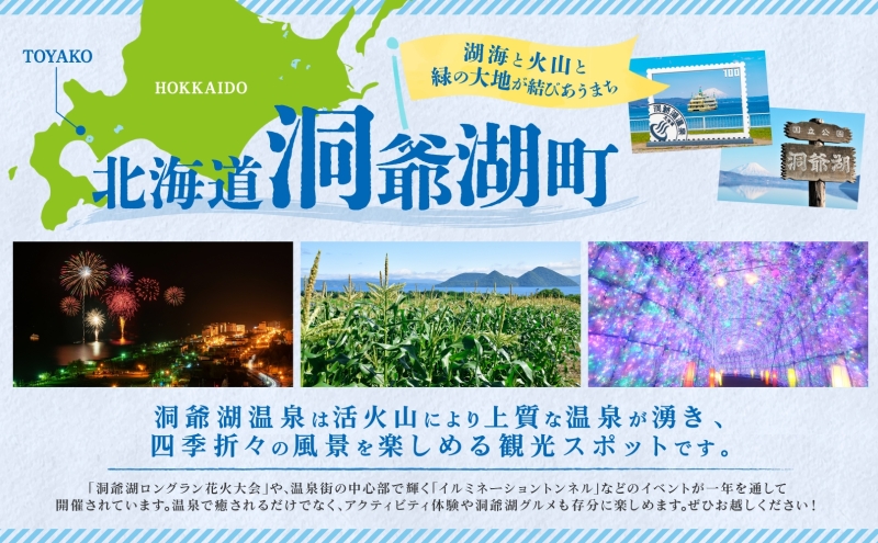 2ヵ月連続お届け 北海道産 財田米 ななつぼし 5kg 令和7年産 先行予約 2025年9月中旬よりお届け 数量限定 たからだ米 お米 米 コメ 精米 北海道米 ご飯 ごはん 甘み 粘り ブランド米  お取り寄せ 洞爺湖町