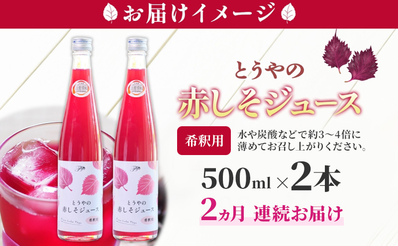 2ヵ月連続お届け 北海道 とうやの 赤しそ ジュース 希釈用 500ml×2本入り シソ しそ 大葉赤紫蘇 3～4倍 濃縮 契約農家 手詰み 産地直送 ピュアフーズとうや 送料無料