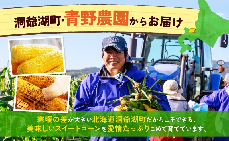 北海道産 青野農園 めぐみ ゴールド 2Lサイズ 約10kg  先行受付 8月下旬頃お届け スイートコーン 北海道 とうもろこし トウモロコシ コーン 恵味 旬 朝採れ 新鮮 野菜 農作物 産地直送 甘い 送料無料