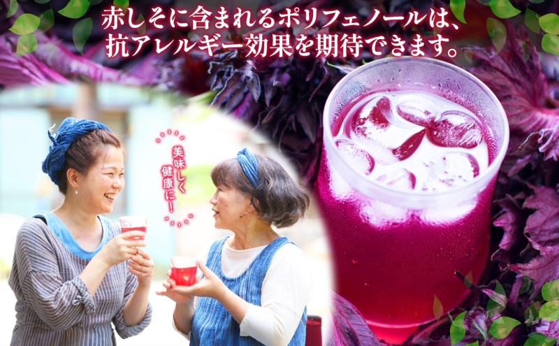 北海道 とうやの 赤しそ ジュース 希釈用 500ml×2本入り シソ しそ 大葉赤紫蘇 3～4倍 濃縮 契約農家 手詰み 産地直送 ピュアフーズとうや 送料無料 
