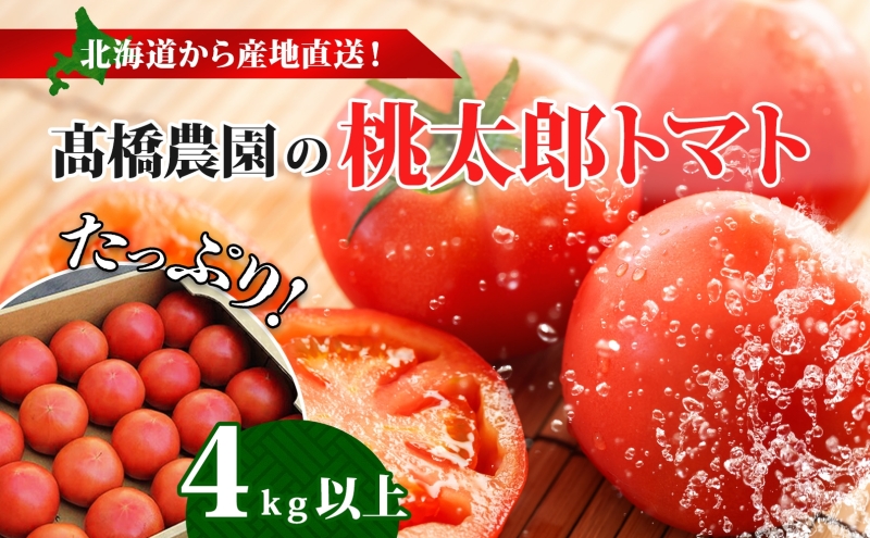 北海道 高橋農園 桃太郎トマト 4kg以上 M〜Lサイズ （18玉〜24玉） 6月初旬～9月中旬頃お届け 大玉トマト tomato 産地直送 農家直送 新鮮 野菜 安心 安全 とれたて 完熟 洞爺湖町 送料無料