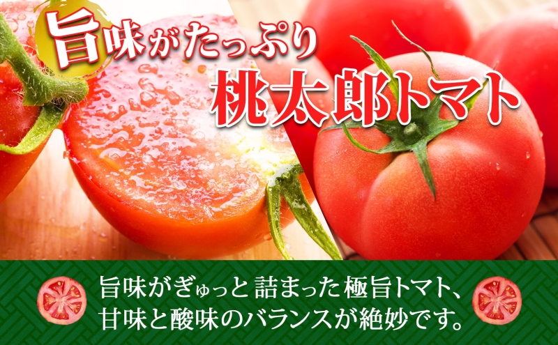 北海道 高橋農園 桃太郎トマト 4kg以上 M〜Lサイズ （18玉〜24玉） 6月初旬～9月中旬頃お届け 大玉トマト tomato 産地直送 農家直送 新鮮 野菜 安心 安全 とれたて 完熟 洞爺湖町 送料無料