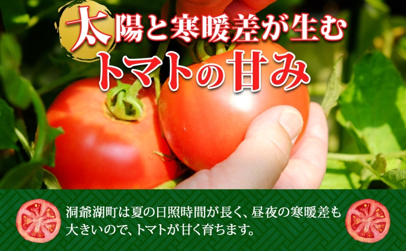 北海道 高橋農園 桃太郎トマト 4kg以上 M〜Lサイズ （18玉〜24玉） 6月初旬～9月中旬頃お届け 大玉トマト tomato 産地直送 農家直送 新鮮 野菜 安心 安全 とれたて 完熟 洞爺湖町 送料無料