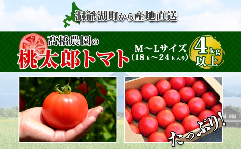 北海道 高橋農園 桃太郎トマト 4kg以上 M〜Lサイズ （18玉〜24玉） 6月初旬～9月中旬頃お届け 大玉トマト tomato 産地直送 農家直送 新鮮 野菜 安心 安全 とれたて 完熟 洞爺湖町 送料無料