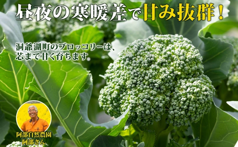 役に立ちます 冷凍カット野菜 ブロッコリー60g×11袋