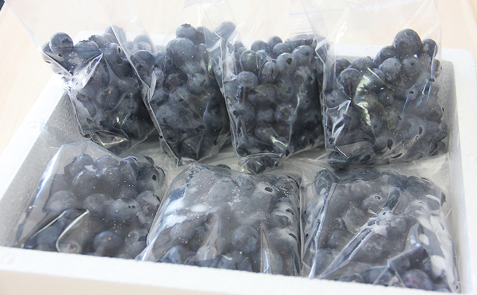 役に立ちます 冷凍カット果物 ブルーベリー100g×7袋 ※2023年8月中旬より順次出荷