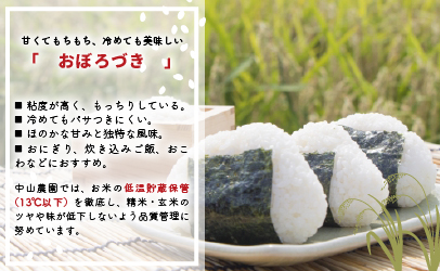 【令和5年産】北海道浦河町の特別栽培米「ななつぼし＆おぼろづき」食べ比べ定期便(計10kg)(全3回)[37-1175]