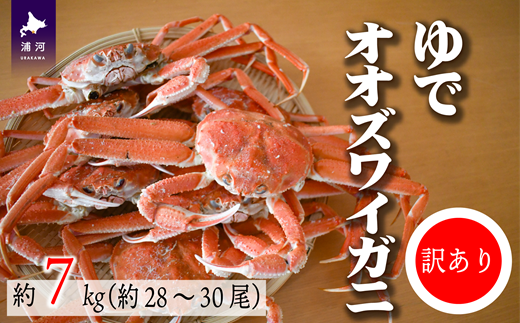 ◆期間・数量限定◆訳あり ゆでオオズワイガニ約7kg(約28～30尾入)[02-1412]