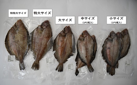 漁協の地魚一夜干し ナメタカレイ 中サイズ6尾入り[02-866]