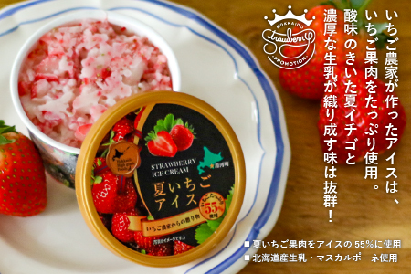 果肉55%「夏いちごアイス(6個)」北海道のいちご農家の贈り物[22-325]