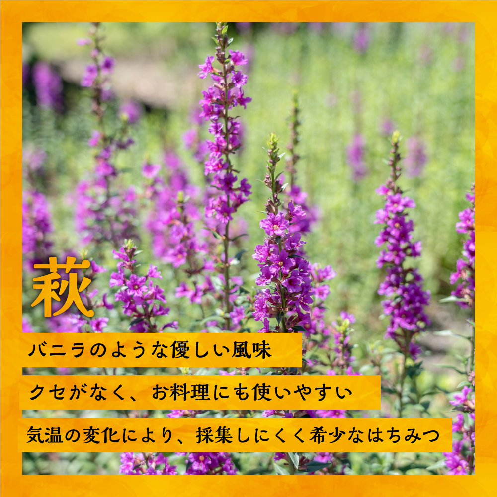 国産純粋完熟はちみつ小瓶セット(れんげ・萩・百花蜜)[16-1140]