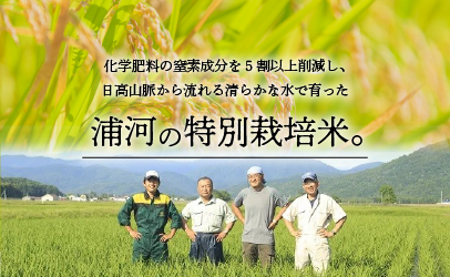 【令和5年産】浦河の特別栽培米「きたくりん」玄米(5kg×2袋)[28-551]