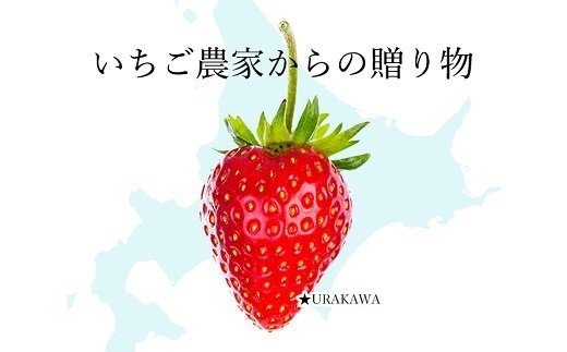 果肉55%「夏いちごアイス(6個)」【全4回定期便】[22-997]