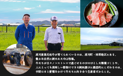 A4等級以上！「北海道浦河産黒毛和牛」4種食べ比べセット(計900g)[B28-1150]