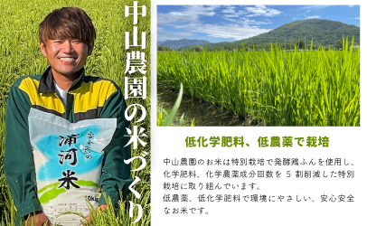 【先行受付開始！】北海道浦河町の特別栽培米「ななつぼし」精米(5kg×1袋)定期便(全12回)[37-1221]