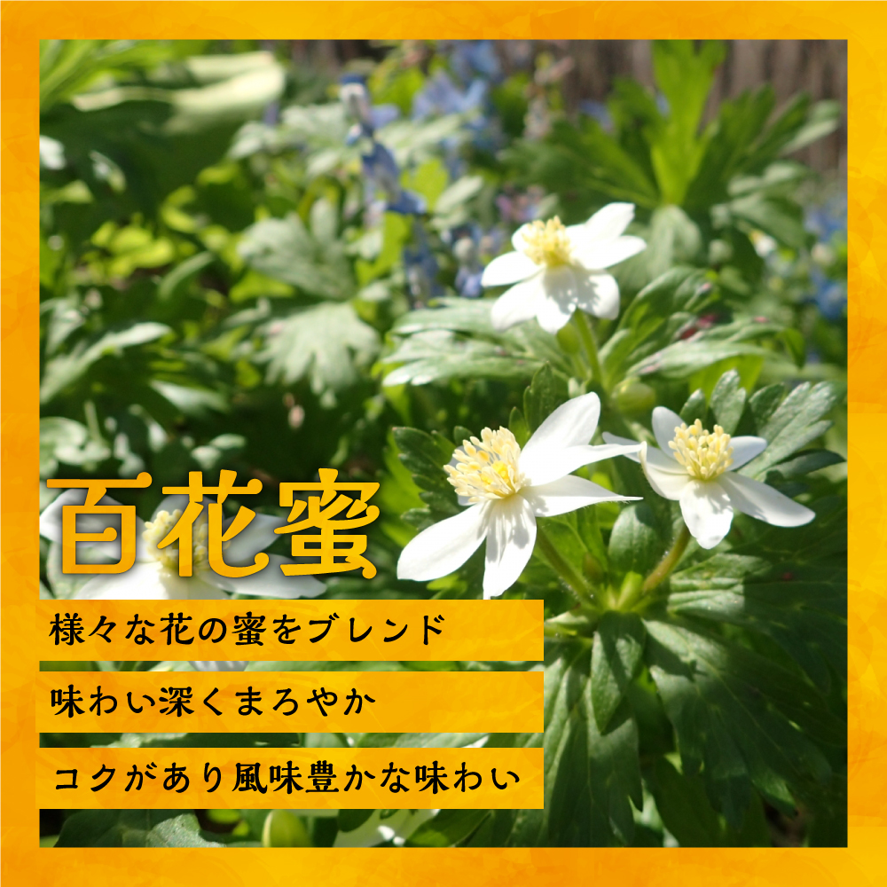 国産純粋完熟はちみつ小瓶セット(れんげ・萩・百花蜜)[16-1140]