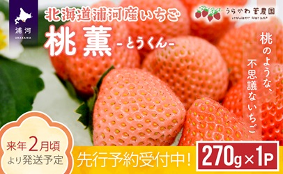 【先行予約受付中】北海道浦河産いちご「桃薫」270g×1P[13-279]