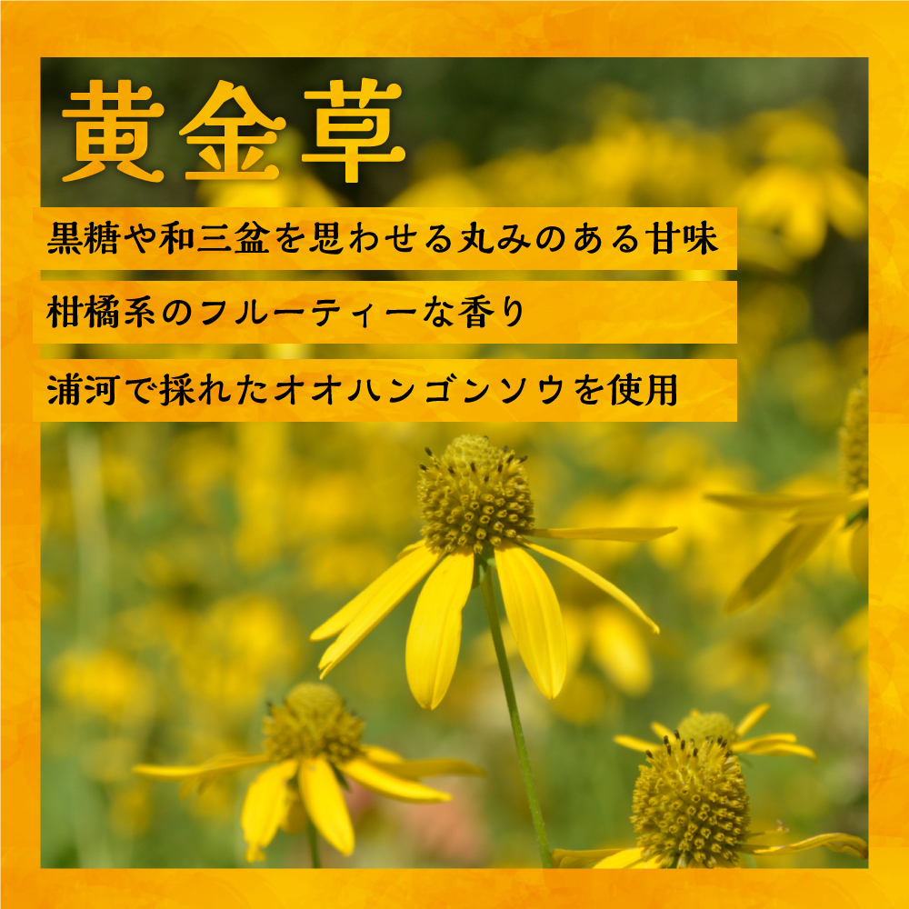 国産純粋完熟はちみつ3種セット(れんげ･萩･黄金草)ご家庭用計1.5kg[16-1158]