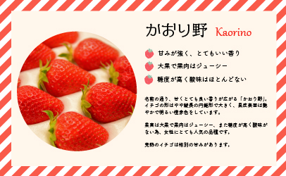 北海道浦河産 冷凍いちご「かおり野 」(800g×2P)[13-872]