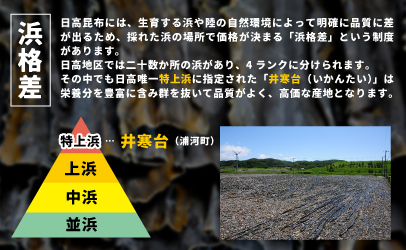 【お試し用】特上浜 井寒台(いかんたい)産 日高昆布200gx2[34-1113]