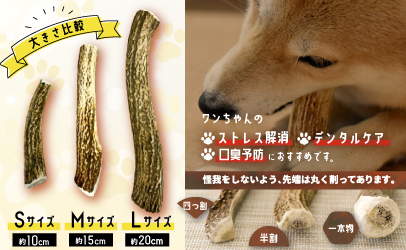 犬用「鹿の角」Ｍサイズ×1本[53-1348]