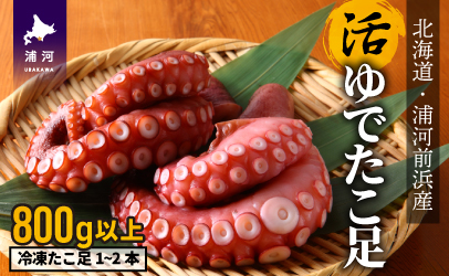 漁協直送！浦河前浜産 活ゆでたこ足（足800g）[02-525]