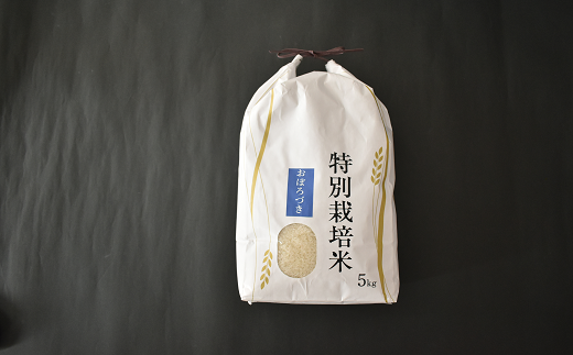 【令和5年産】北海道浦河町の特別栽培米「おぼろづき」精米(5kg×1袋)定期便(全12回)[37-1227]