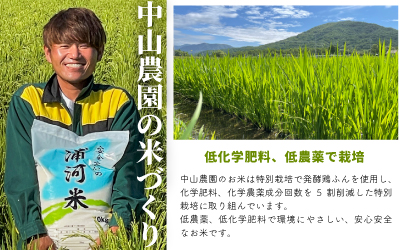 【令和5年産　新米受付開始！】浦河の特別栽培米「ななつぼし」玄米(10kg×1袋)[37-1027]