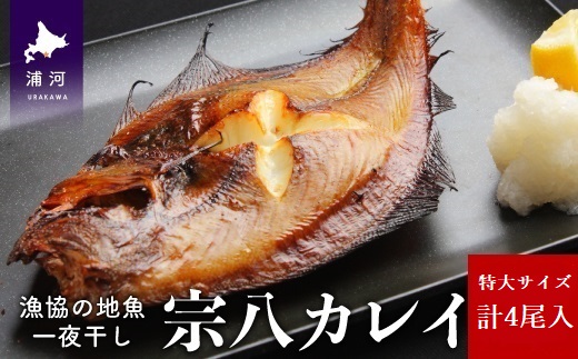 漁協の地魚一夜干し 宗八カレイ 特大サイズ(4尾入)[02-1250]