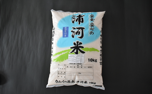 【令和4年産　新米受付開始！】北海道浦河町の特別栽培米「おぼろづき」精米(10kg×1袋)[B37-1133]