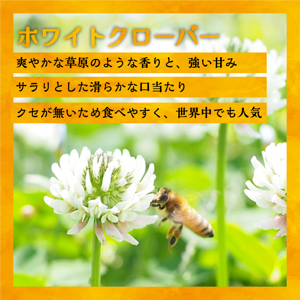 国産純粋完熟はちみつ6種食べ比べセット[16-1162]