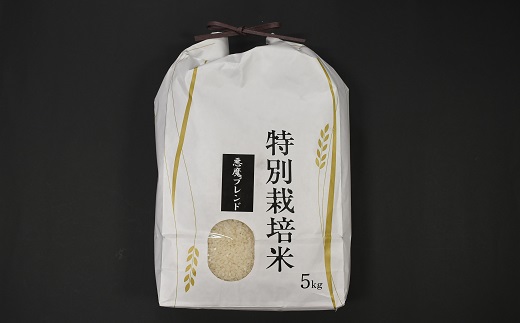【令和5年産】北海道浦河町の特別栽培米「悪魔ブレンド」精米(5kg×1袋)[37-1225]