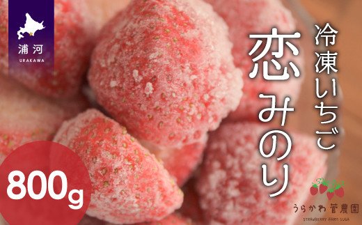 北海道浦河産 冷凍いちご「恋みのり」(800g×1P)[13-873]